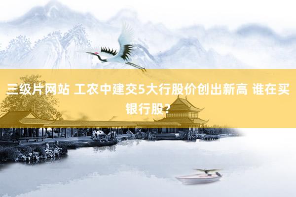 三级片网站 工农中建交5大行股价创出新高 谁在买银行股？