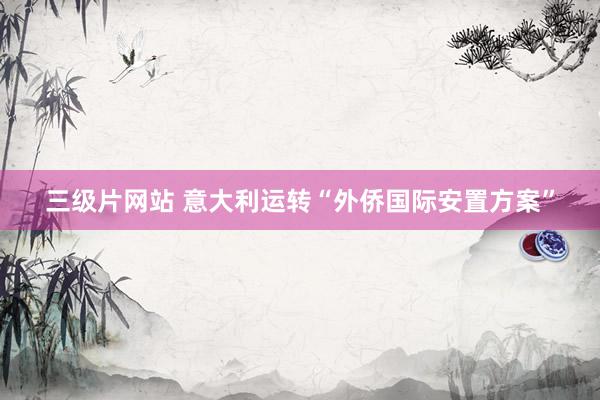 三级片网站 意大利运转“外侨国际安置方案”