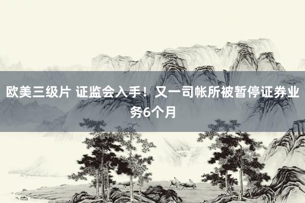 欧美三级片 证监会入手！又一司帐所被暂停证券业务6个月