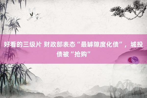 好看的三级片 财政部表态“最罅隙度化债”，城投债被“抢购”