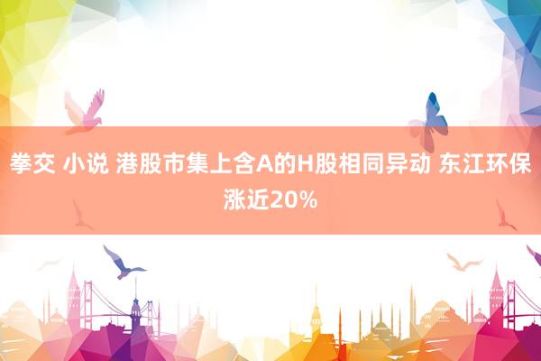 拳交 小说 港股市集上含A的H股相同异动 东江环保涨近20%