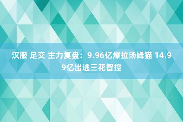 汉服 足交 主力复盘：9.96亿爆拉汤姆猫 14.99亿出逃三花智控