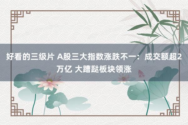 好看的三级片 A股三大指数涨跌不一：成交额超2万亿 大蹧跶板块领涨